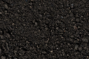 Picture for category Soils