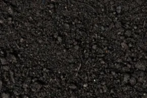 Picture for category Soils