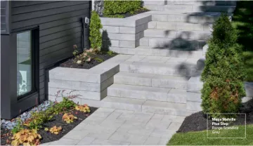 Picture of MegaMelvilleStep
