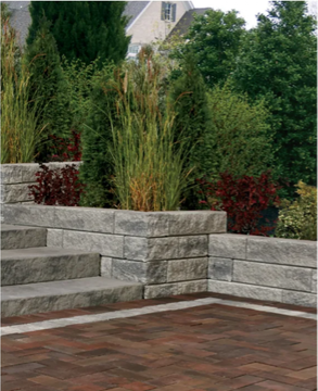 Show details for Gardenia Wall Picture of Gardenia Wall