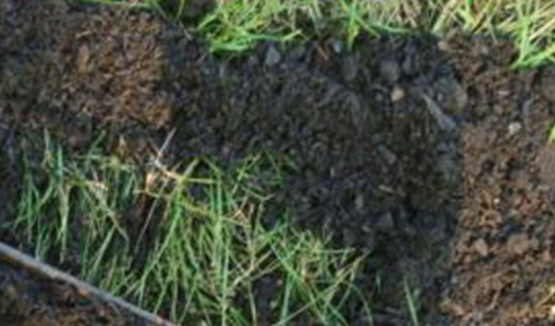 Picture of TOPDRESSING (For Lawns)