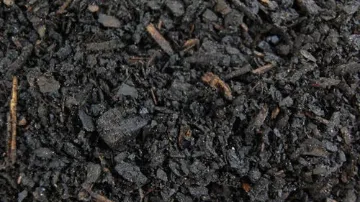 Picture of CompostedPineMulch