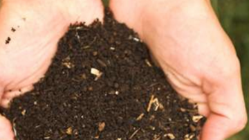 Show details for TOTE - PREMIUM 1/4" COMPOST Picture of TOTE - PREMIUM 1/4" COMPOST