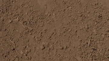 Show details for TOTE - SCREENED TOPSOIL Picture of TOTE - SCREENED TOPSOIL