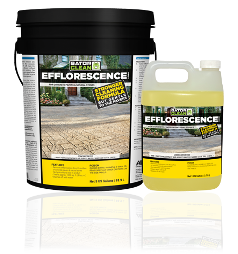 Picture of GATOR EFFLORESCENCE CLEANER - 1 Gal