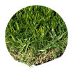 Picture of EV3D     **** FINAL SALE ON CUT ROLLS *****