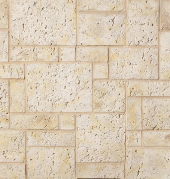 Fossil Reef Picture of Coral Stone