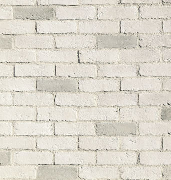 Chalk Dust Picture of Tundra Brick