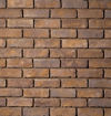 Picture of Tundra Brick
