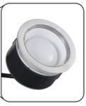 Show details for RUBY STAINLESS STEEL RING Picture of RUBY STAINLESS STEEL RING