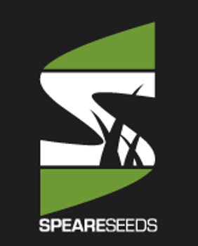 Picture for manufacturer Speare Seeds