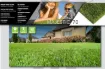 Picture of AGL MAJESTIC 70 **** FINAL SALE ON CUT ROLLS *****