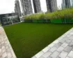 Picture of AGL MONTE CARLO 60 **** FINAL SALE ON CUT ROLLS *****